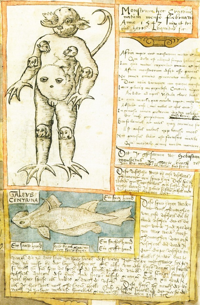 FishBookp326